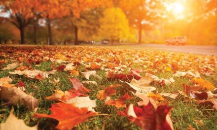 Los mejores tips para afrontar el otoño de la mejor manera, según ChatGPT