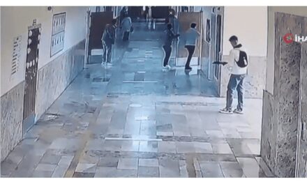 Un adolescente hirió a 16 personas y murió tras ser rodeado por la policía