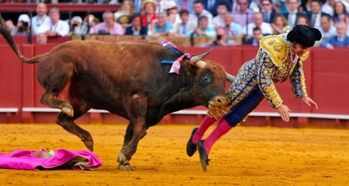 Un famoso torero español debió ser intervenido de urgencia