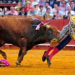 Un famoso torero español debió ser intervenido de urgencia