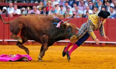 Un famoso torero español debió ser intervenido de urgencia