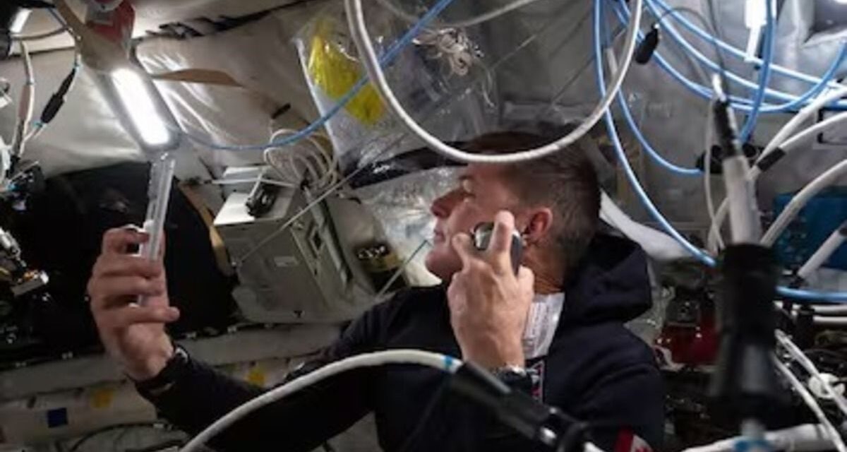 Cuál es el celular que utilizan los astronautas en su misión a la Luna