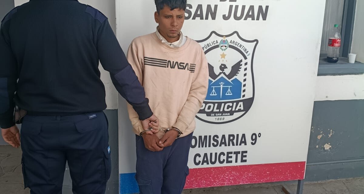 Robó una bordeadora, quiso venderla y terminó detenido