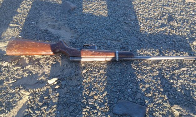 Viajaba con su familia por Ullum y terminó detenido por portar un arma ilegal