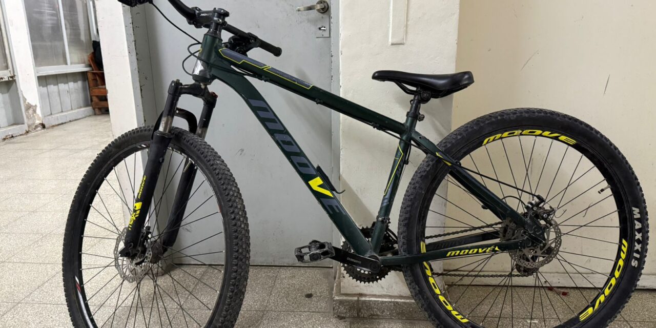Dos hermanos fueron detenidos en Pocito con una bicicleta robada