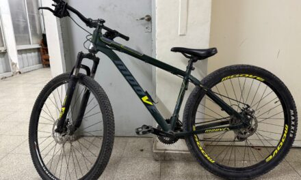 Dos hermanos fueron detenidos en Pocito con una bicicleta robada