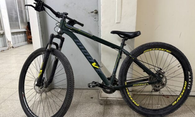 Dos hermanos fueron detenidos en Pocito con una bicicleta robada