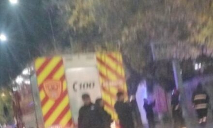 Principio de incendio en una veterinaria de Capital