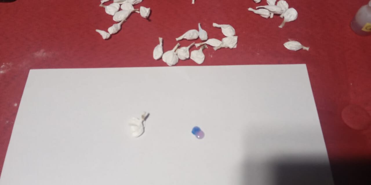 Narcos ocultaban droga en sus partes íntimas: cuatro detenidos tras allanamientos en Barrio La Estación