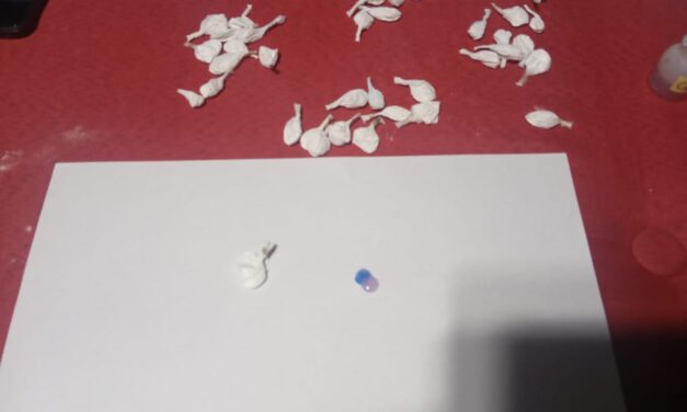 Narcos ocultaban droga en sus partes íntimas: cuatro detenidos tras allanamientos en Barrio La Estación