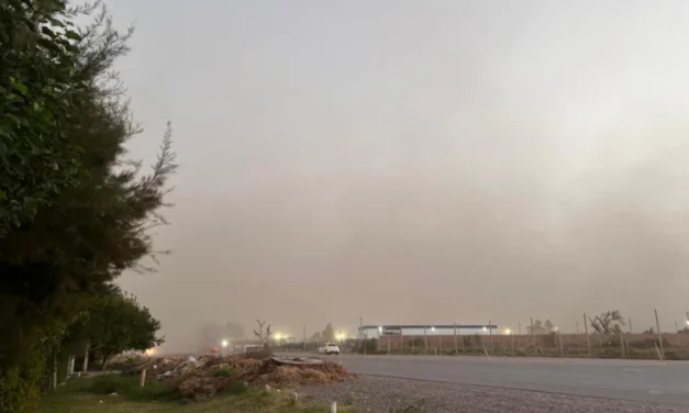 Alerta por un fuerte viento sur: pronostican ráfagas de más de 65 km/h y piden extremar cuidados