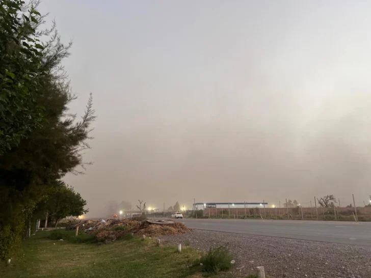 Alerta por un fuerte viento sur: pronostican ráfagas de más de 65 km/h y piden extremar cuidados