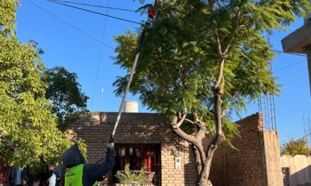 A días del inicio, Rivadavia activa el operativo de poda con eje en seguridad y control