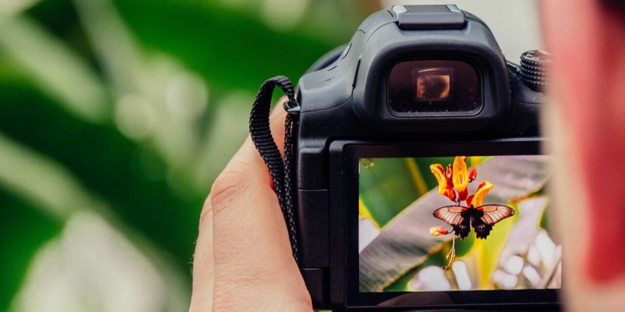 Rawson lanzó talleres gratuitos de cine y fotografía para vecinos del departamento