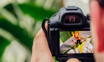 Rawson lanzó talleres gratuitos de cine y fotografía para vecinos del departamento