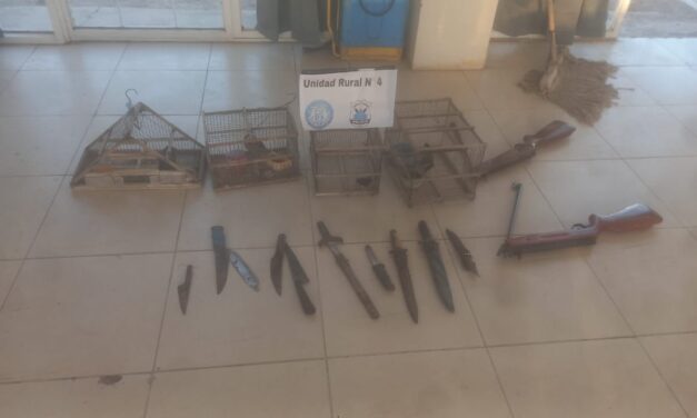 Cayó con armas, droga y aves protegidas en Pocito: Terminó detenido tras un allanamiento rural