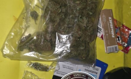 Tres jóvenes terminaron demorados tras un operativo y el hallazgo de marihuana en Capital