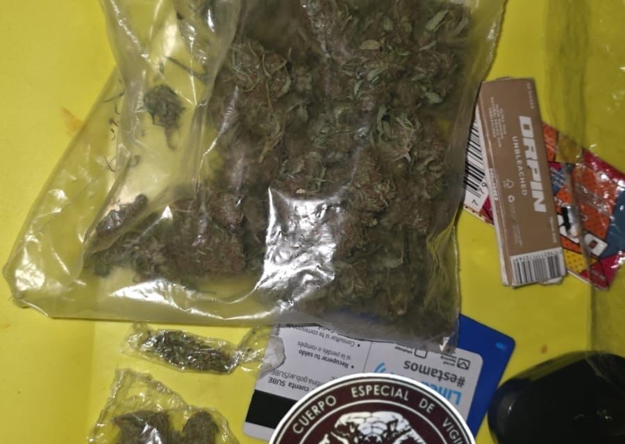 Tres jóvenes terminaron demorados tras un operativo y el hallazgo de marihuana en Capital