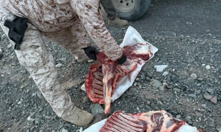 Secuestran carne de guanaco y una combi en operativo contra la caza furtiva en Sarmiento