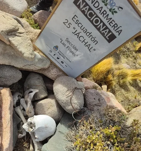 Investigan un misterioso hallazgo en Iglesia: Encontraron restos óseos y vainas servidas en plena cordillera