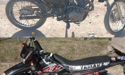 Recuperaron vehículos robados en Capital, Rawson y Albardón tras una semana de intensas investigaciones