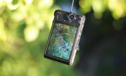 Por qué la Generación Z abandonó el iPhone por cámaras digitales viejas