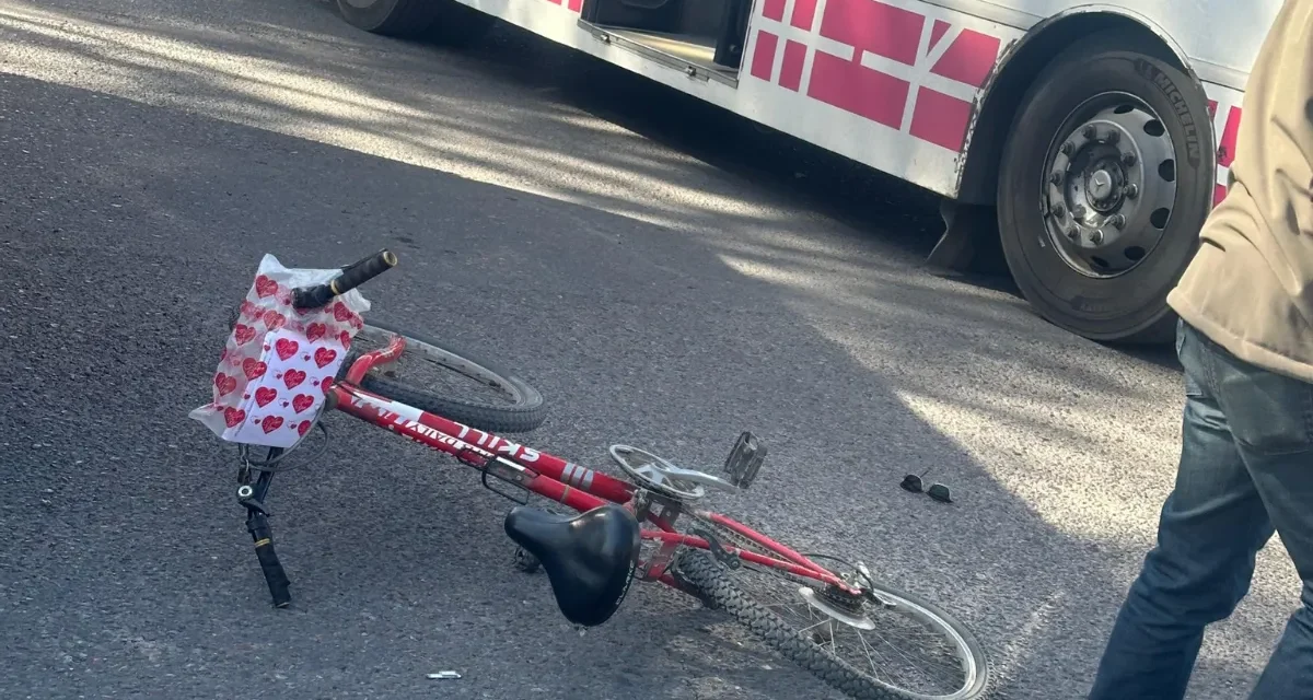 Murió la mujer atropellada por un colectivo y crece la bronca por el trágico choque