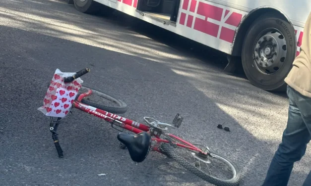 Murió la mujer atropellada por un colectivo y crece la bronca por el trágico choque