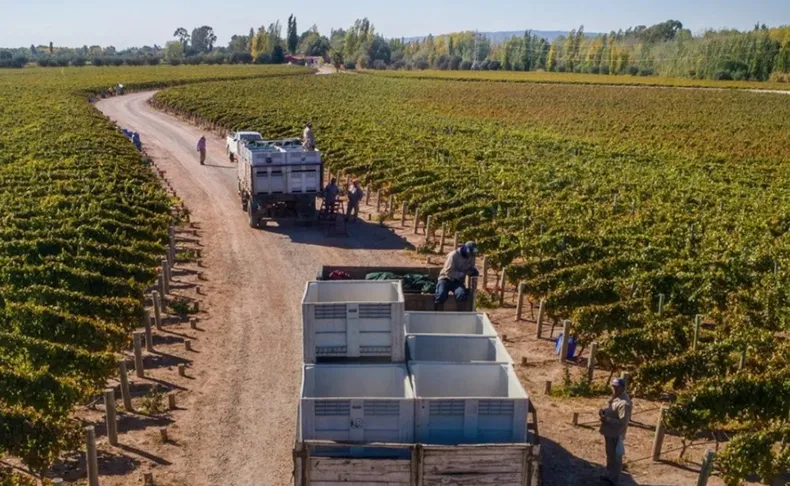 Golpe al esquema vitivinícola: La Nación desarma el financiamiento de la Corporación Vitivinícola Argentina y redefine el rumbo del sector