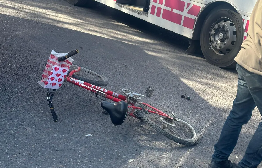Rivadavia: imputaron al chofer del colectivo que dejó a una ciclista con muerte cerebral