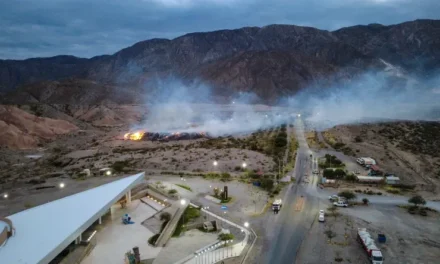 Confirman que el incendio en el Parque Tecnológico Ambiental fue intencional: Detectaron tres focos distintos