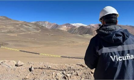 Tras el acuerdo judicial, Vicuña vuelve a operar por el corredor de Guandacol