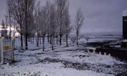 El frío polar dejó nieve en distintos puntos de la provincia y complicó la cordillera