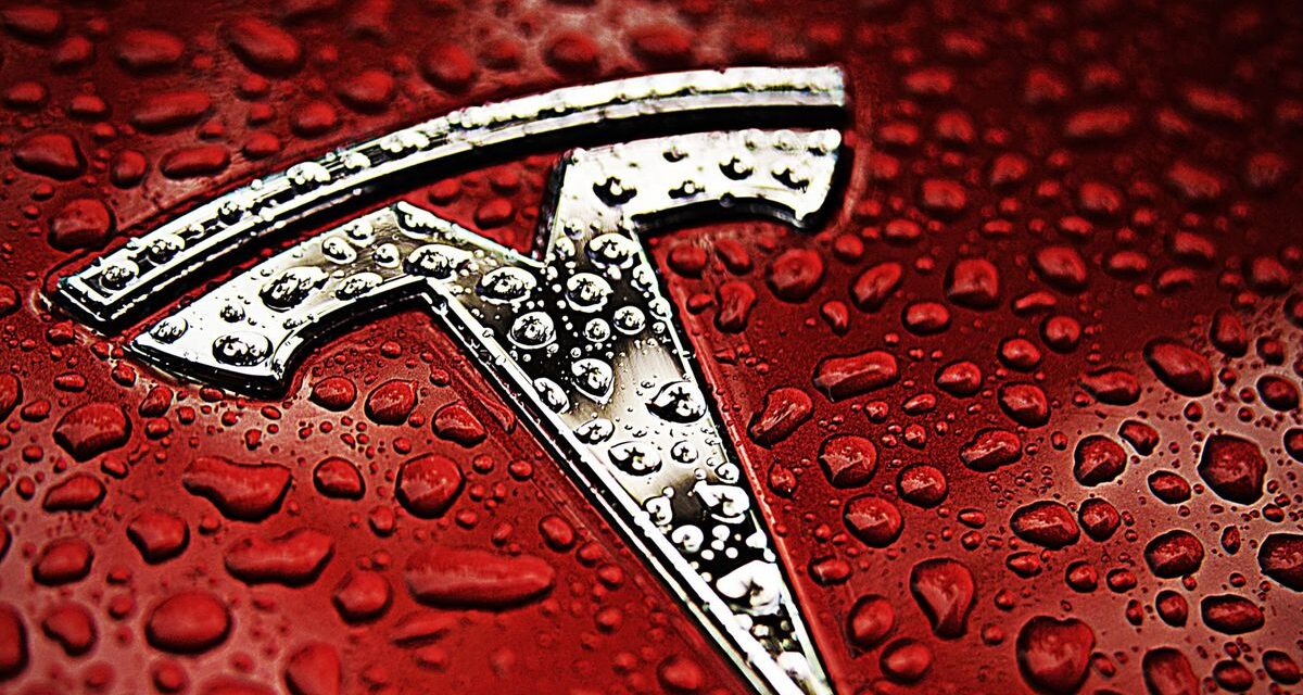 Continúa la ampliación del servicio de Robotaxis de Tesla y promete su expansión al mundo