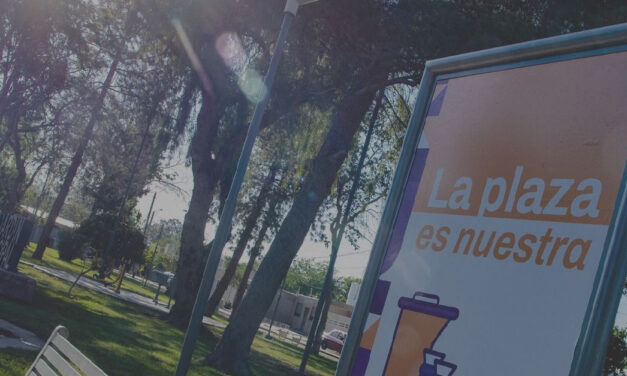 Plazas más limpias: Capital avanza con operativos en la zona norte