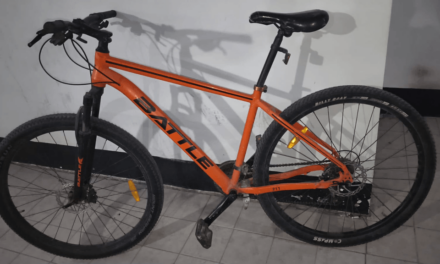 Lo atraparon escondido debajo de una cama tras robar una bicicleta en Rawson