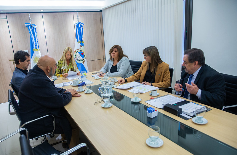 Seguridad, videovigilancia y control interprovincial: los proyectos que avanzaron en Diputados