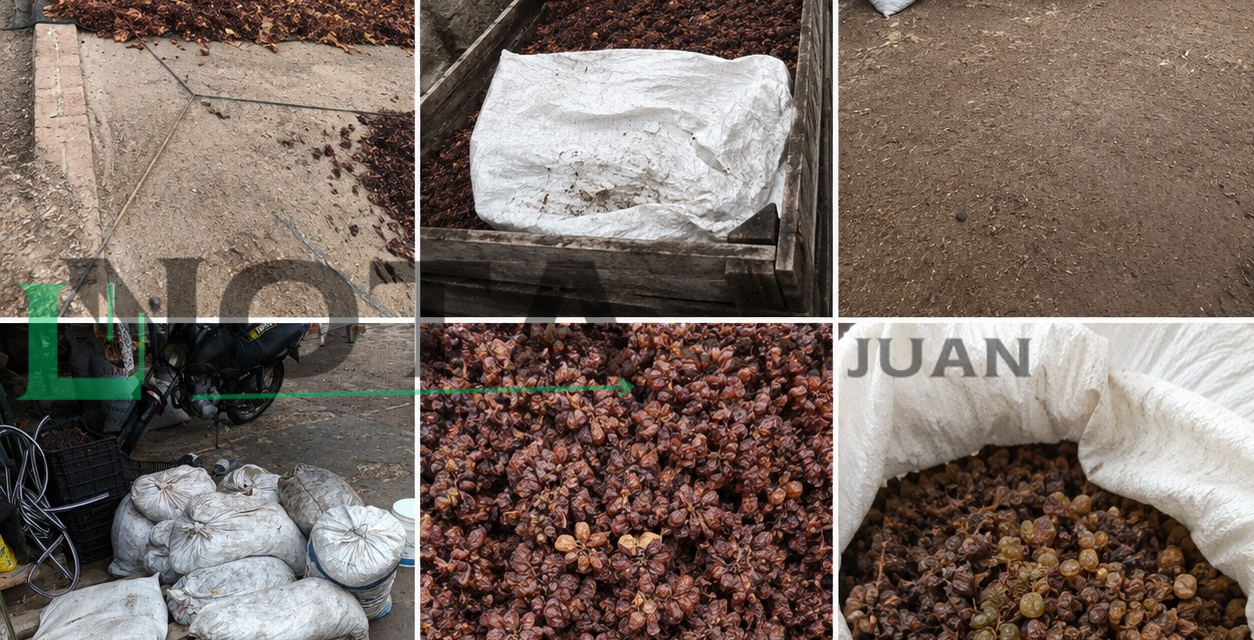 Allanamientos por un enfrentamiento armado terminaron con el secuestro de 2.500 kilos de pasas en Caucete