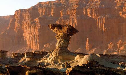 Ischigualasto actualizó sus tarifas: cuánto costará visitar el parque desde julio