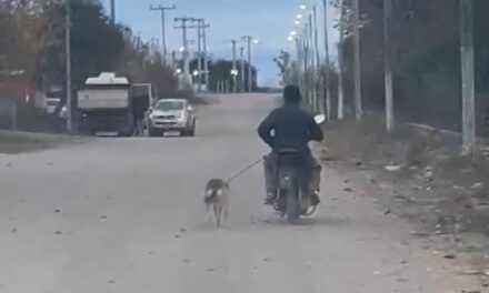 Indignación en Valle Fértil: viralizan un video y escrachan a un motociclista por presunto maltrato animal