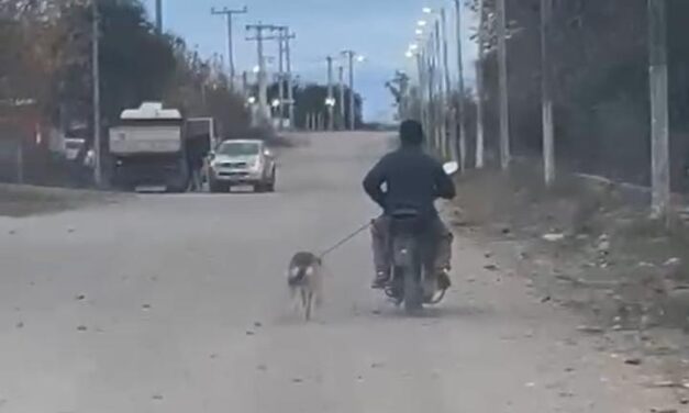 Indignación en Valle Fértil: viralizan un video y escrachan a un motociclista por presunto maltrato animal