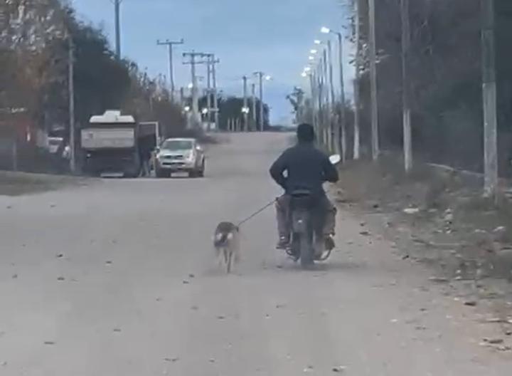 Indignación en Valle Fértil: viralizan un video y escrachan a un motociclista por presunto maltrato animal