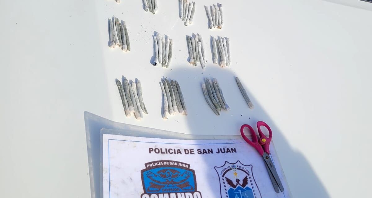 Secuestran más de medio kilo de marihuana y 56 cigarrillos artesanales en Rivadavia