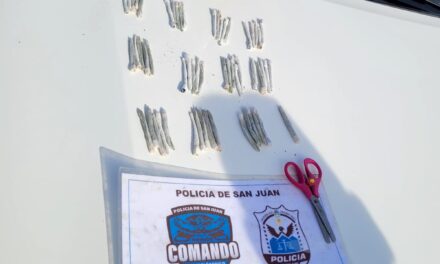 Secuestran más de medio kilo de marihuana y 56 cigarrillos artesanales en Rivadavia