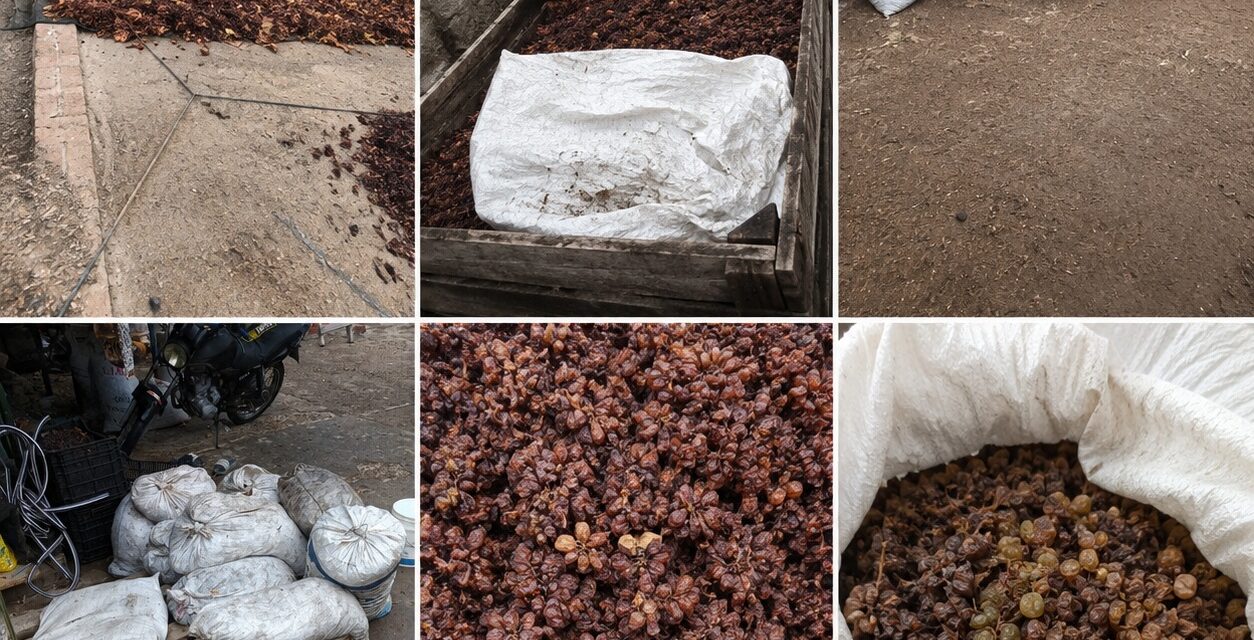 Allanamientos por un enfrentamiento armado terminaron con el secuestro de 2.500 kilos de pasas en Caucete