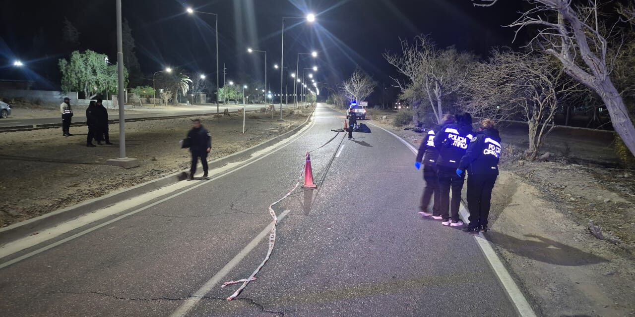 Tragedia en Rivadavia: un motociclista murió tras un violento choque contra un árbol
