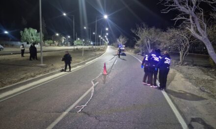 Tragedia en Rivadavia: un motociclista murió tras un violento choque contra un árbol