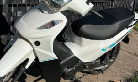 Le robaron la moto a su suegro, la encontró publicada en redes y logró recuperarla