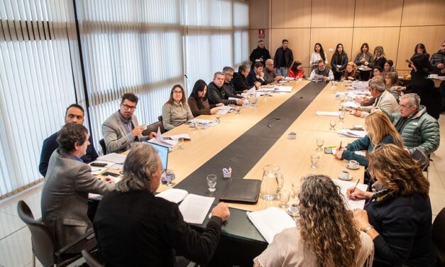 La Ley de Desarrollo Local Minero continúa su análisis en la Cámara de Diputados