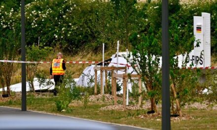 Al menos 11 muertos tras la caída de una avioneta que transportaba paracaidistas